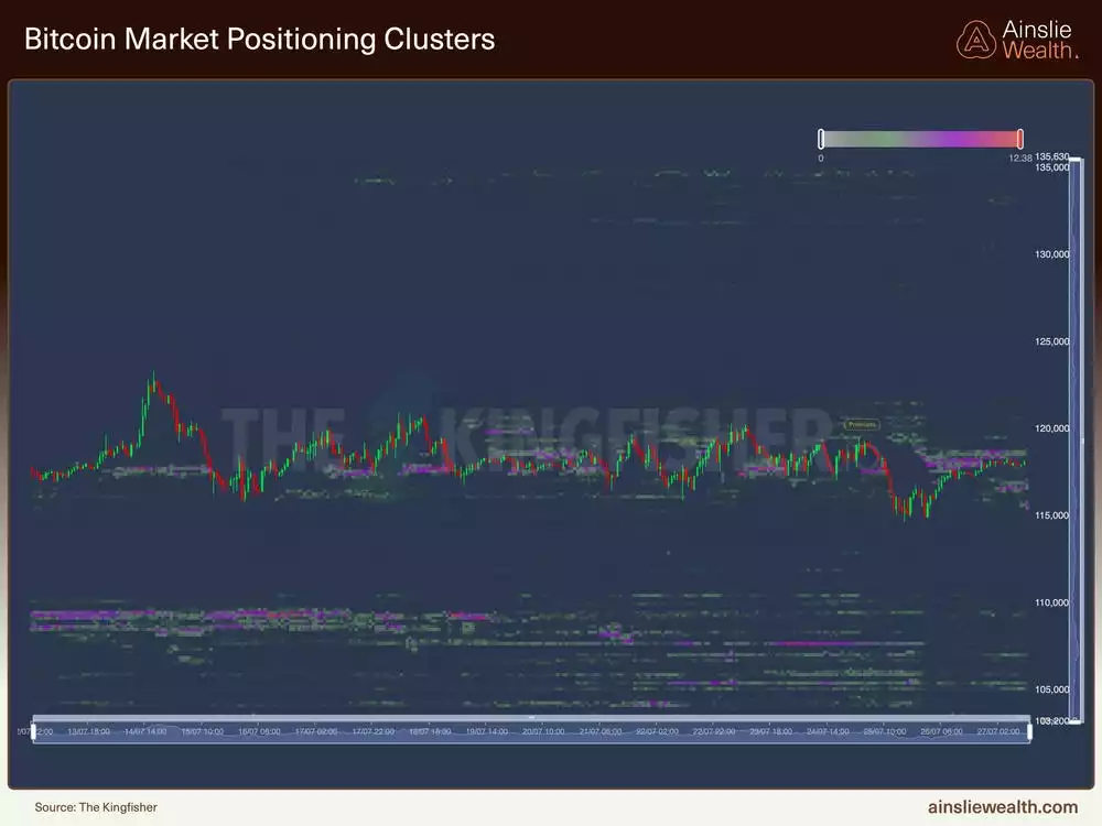 Bitcoin Market Positioning Clusters - 28 July 2025 Bitcoin Market Positioning Clusters - 28 July 2025
